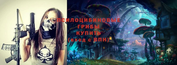 соль ск Володарск