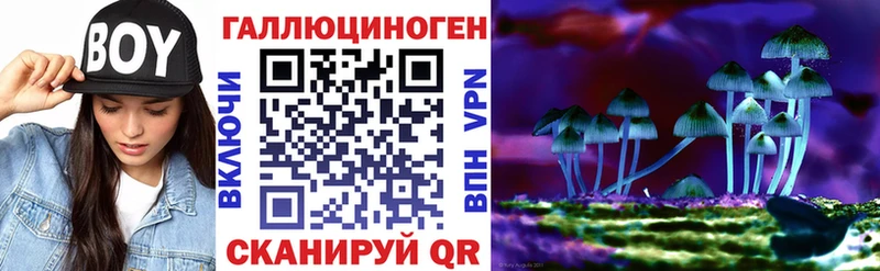 закладки Артём даркнет какой сайт Галлюциногенные грибы Psilocybine cubensis гидра онион